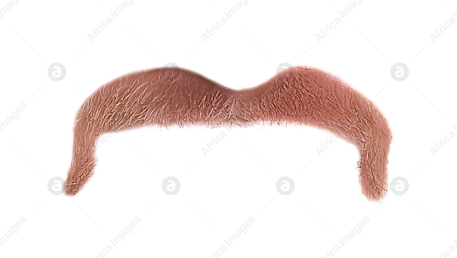 Image of Stylish blonde mustache isolated on white. Facial hair