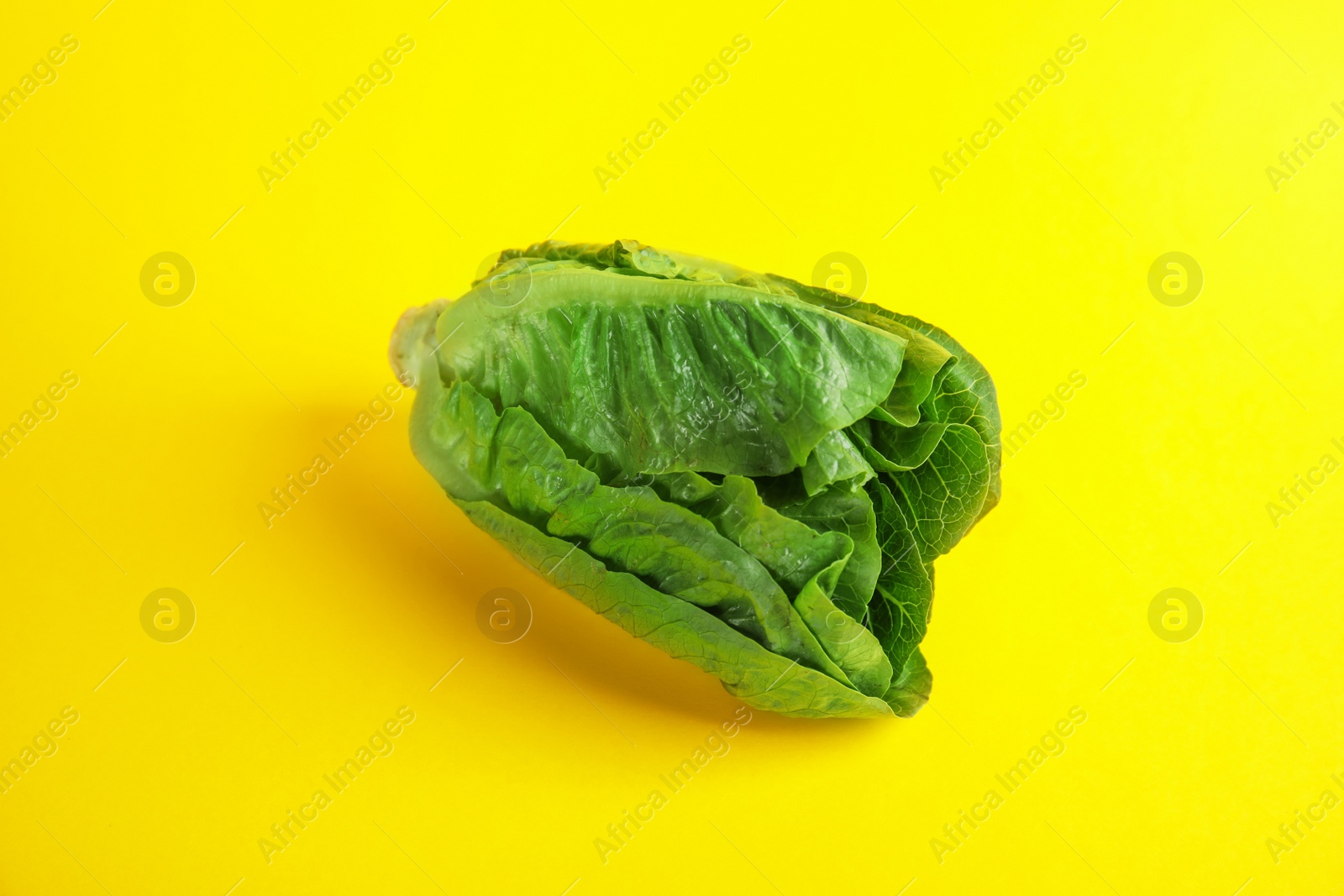 Photo of Fresh ripe cos lettuce on color background