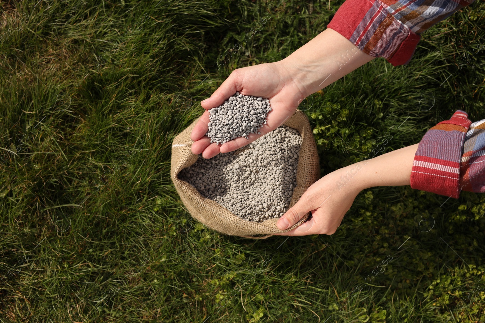 Photo of Woman with fertilizer on green grass outdoors, top view