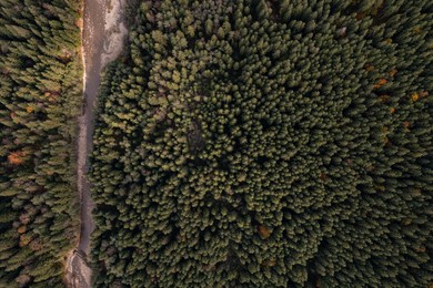 Aerial view of beautiful river flowing near forest