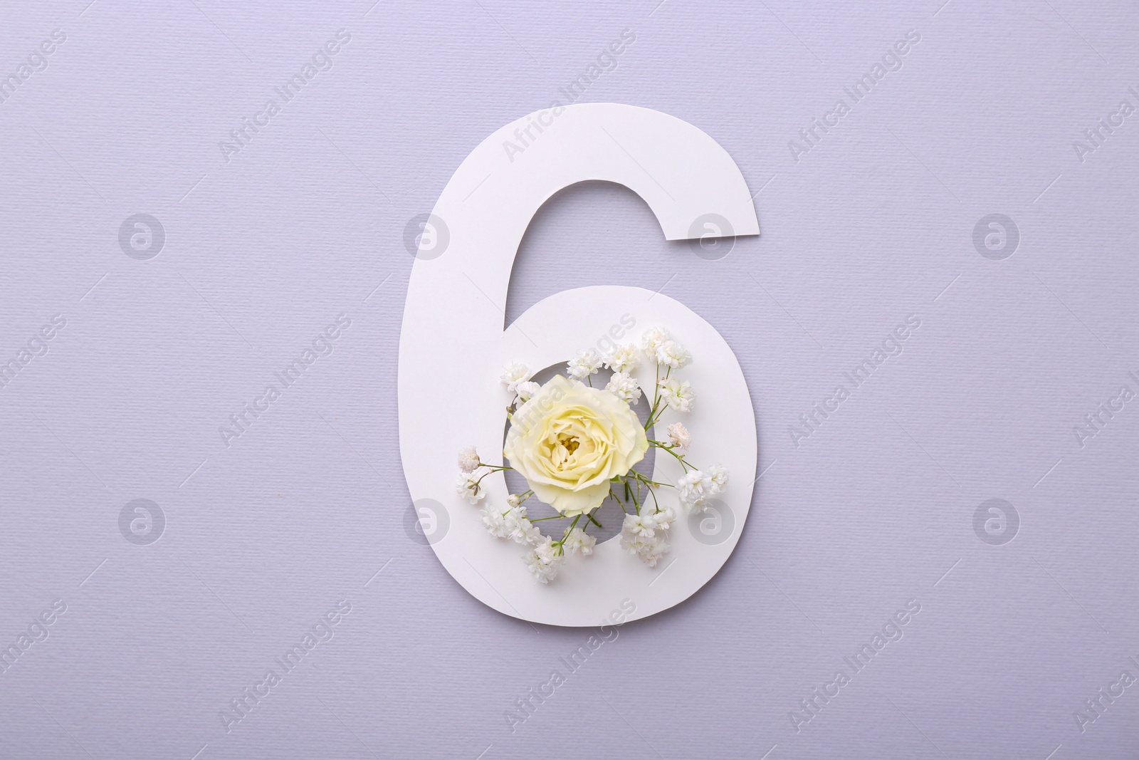 Photo of Paper number 6 and beautiful flowers on light grey background, top view