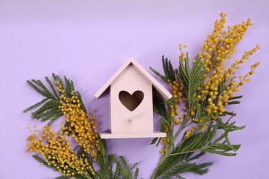 Stylish bird house and fresh mimosas on violet background, flat lay