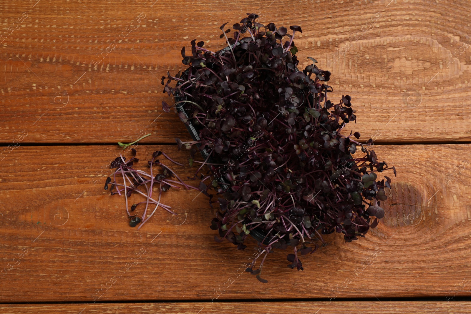 Photo of Fresh radish microgreens on wooden table, flat lay