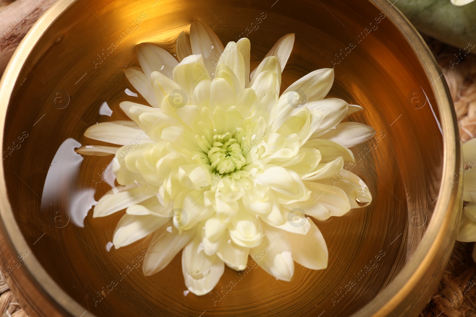 Photo of Tibetan singing bowl with water and beautiful chrysanthemum flower, closeup