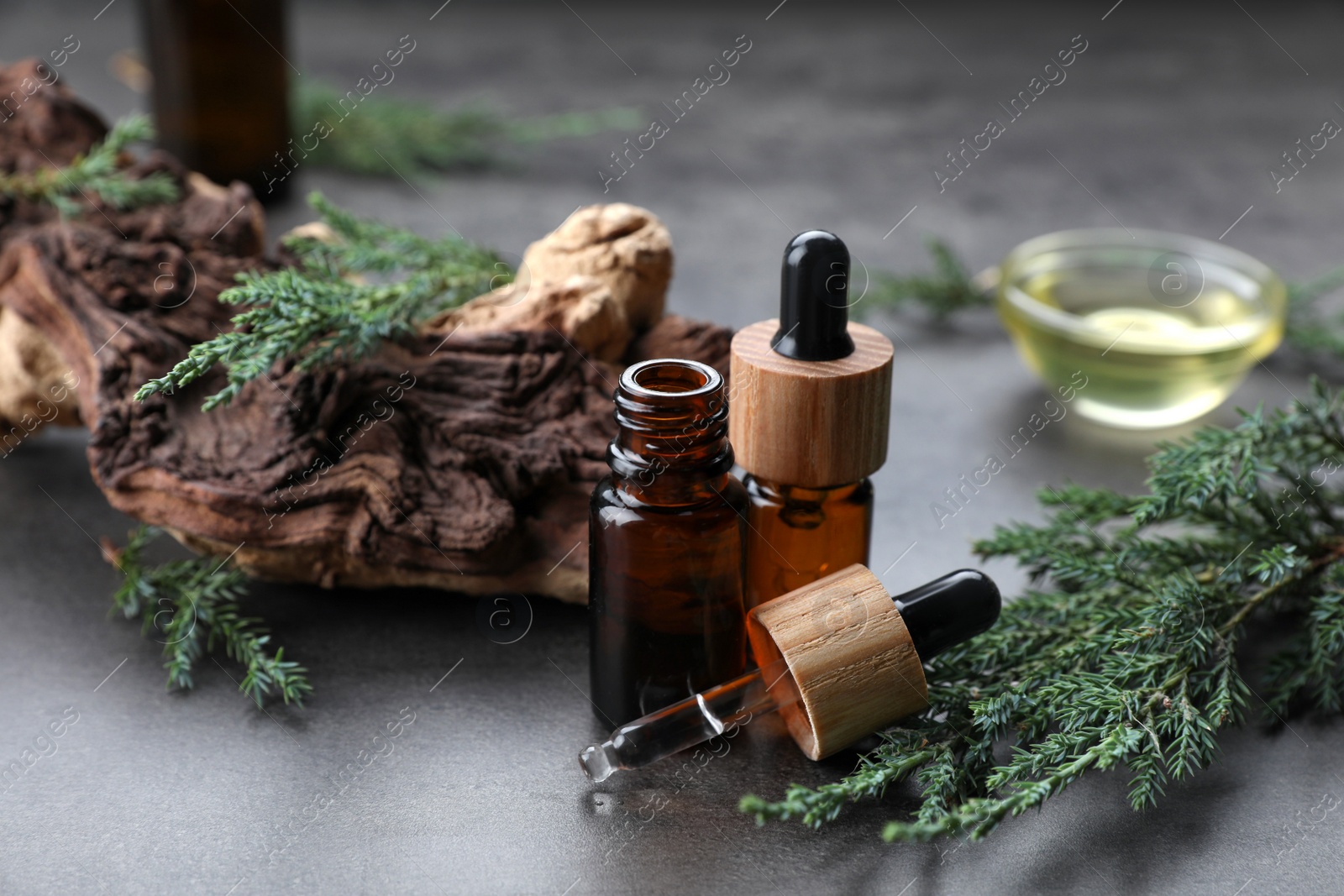 Photo of Bottles of juniper essential oil and twigs on grey table