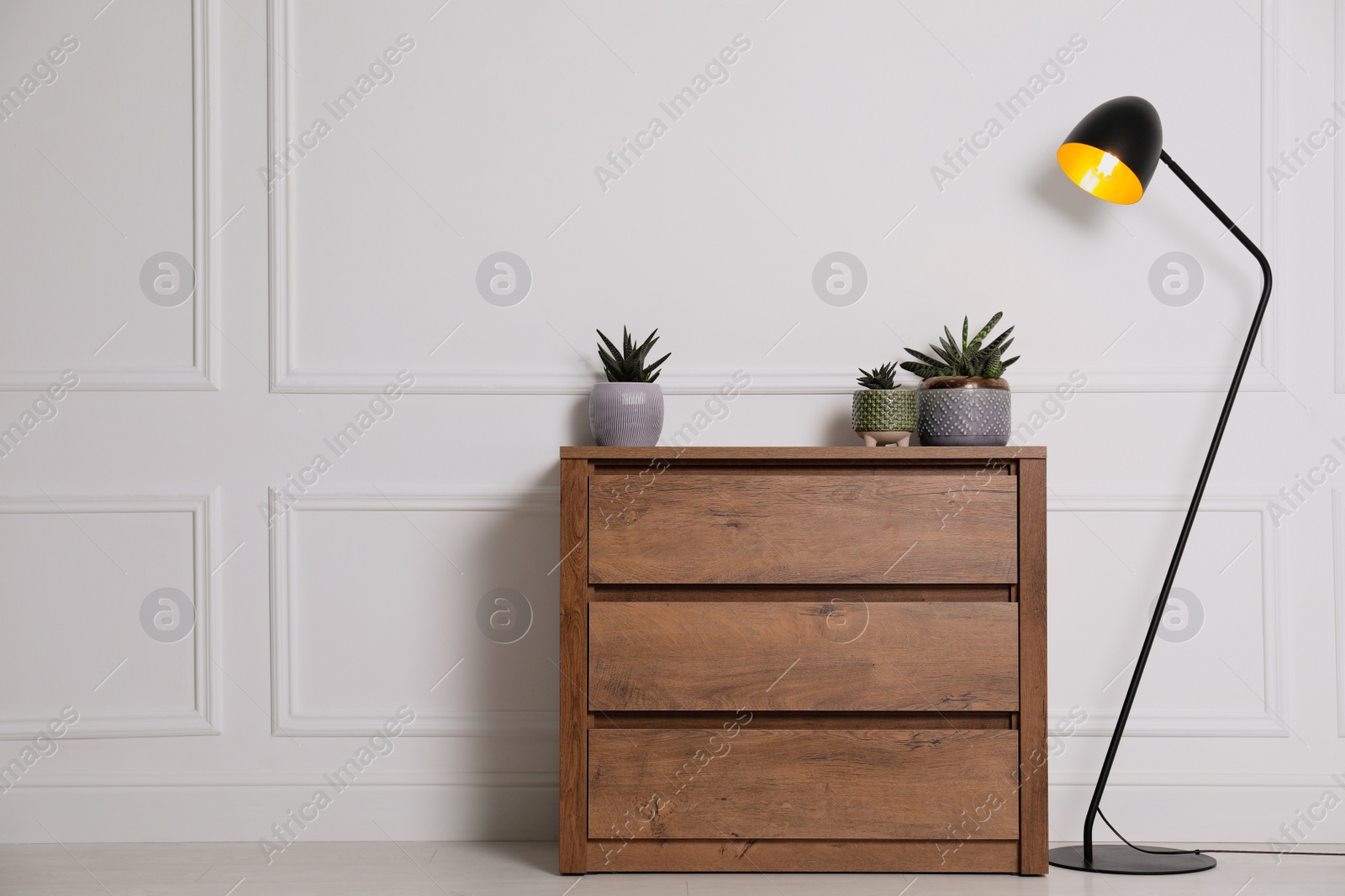 Photo of Beautiful plants on wooden chest of drawers and lamp near white wall. Interior design