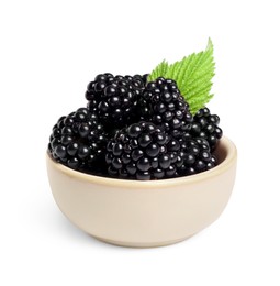 Bowl of ripe blackberries and green leaf isolated on white