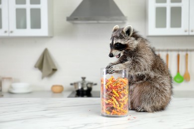 Photo of Cute raccoon with jar of uncooked pasta on kitchen table, space for text