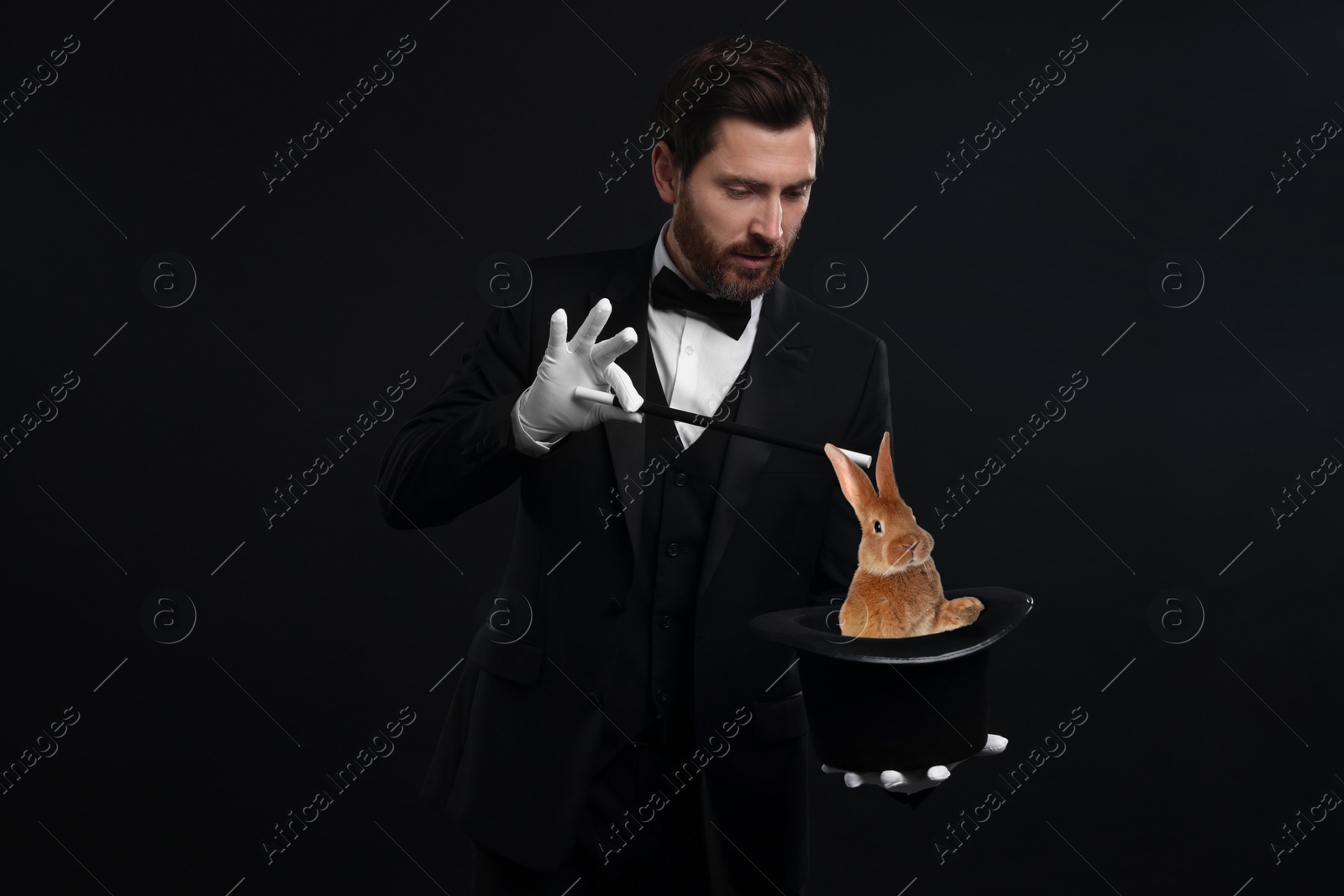 Image of Magician showing trick with top hat and rabbit on black background