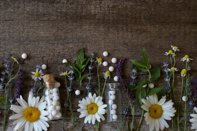 Photo of Bottles of homeopathic remedy and different plants on wooden background, flat lay. Space for text
