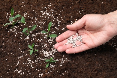 Woman fertilizing plant in soil, closeup. Gardening season