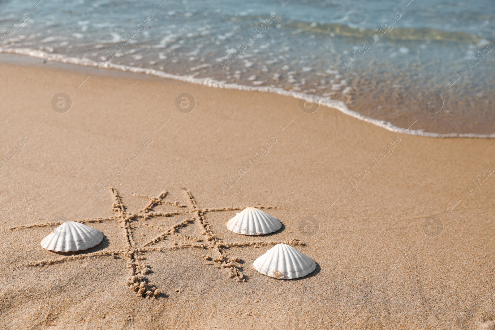 Photo of Playing Tic tac toe game with shells on sand near sea. Space for text