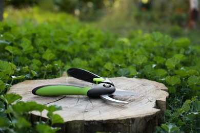 Photo of Secateurs on wooden stump among green grass, space for text. Gardening equipment