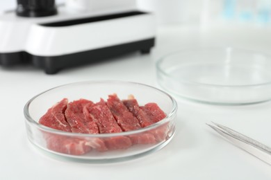 Photo of Petri dish with pieces of raw cultured meat and tweezers on white table. Space for text