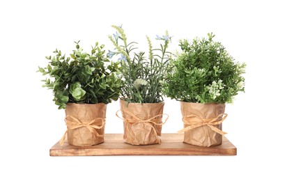 Photo of Artificial potted herbs on white background. Home decor