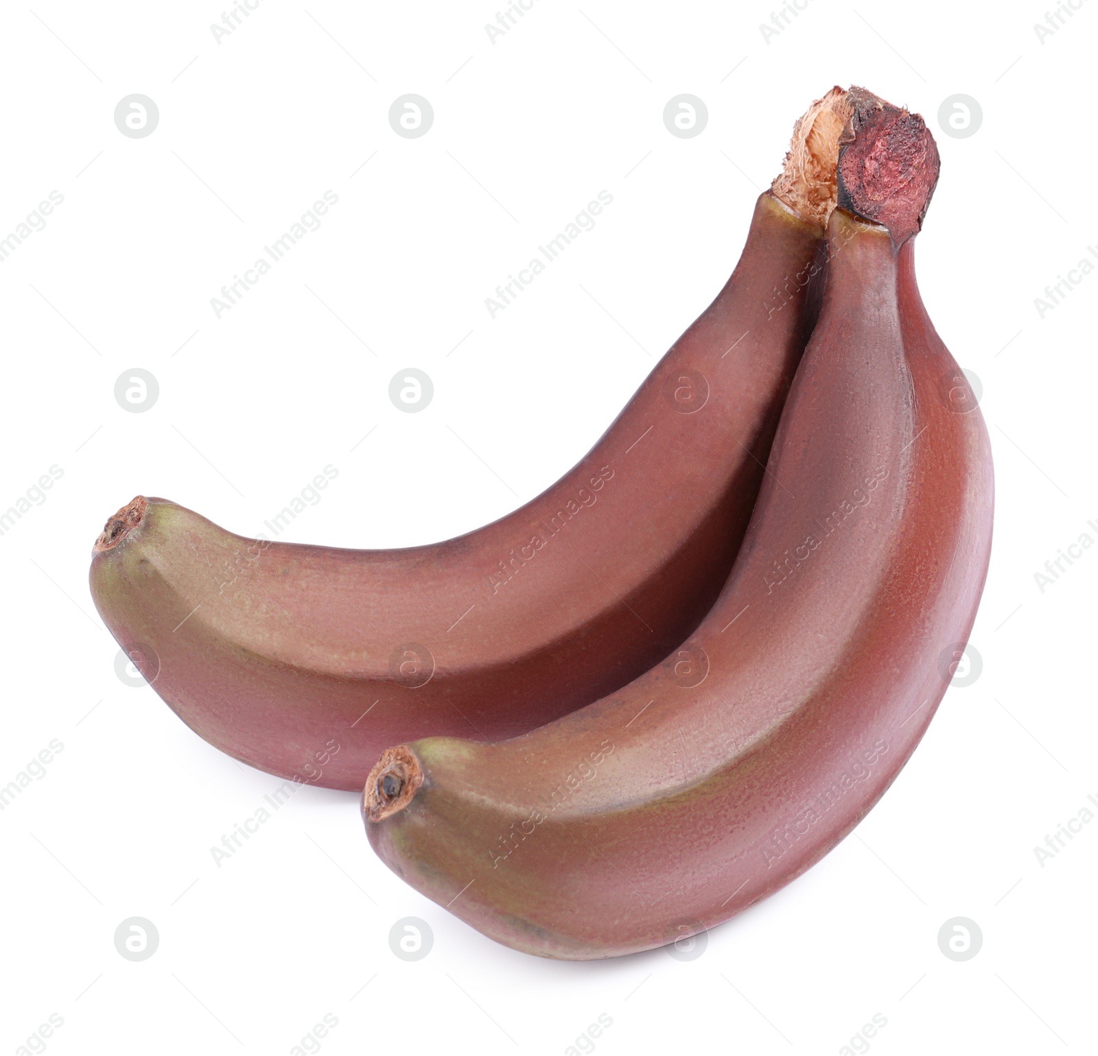 Photo of Tasty red baby bananas on white background