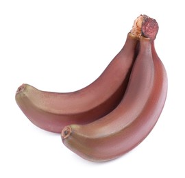 Photo of Tasty red baby bananas on white background