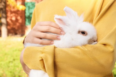 Woman with fluffy white rabbit outdoors, closeup. Cute pet