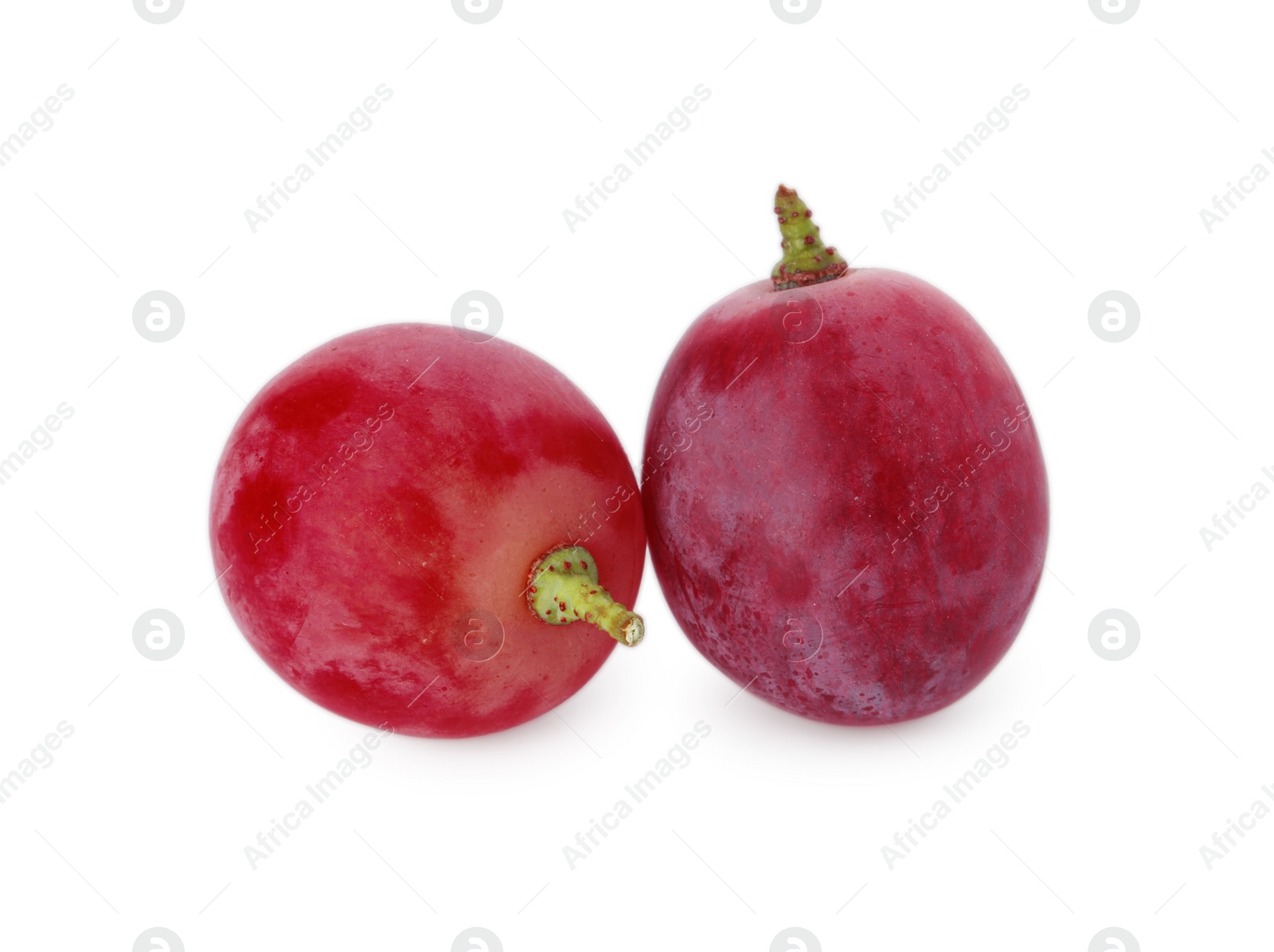 Photo of Two ripe red grapes isolated on white