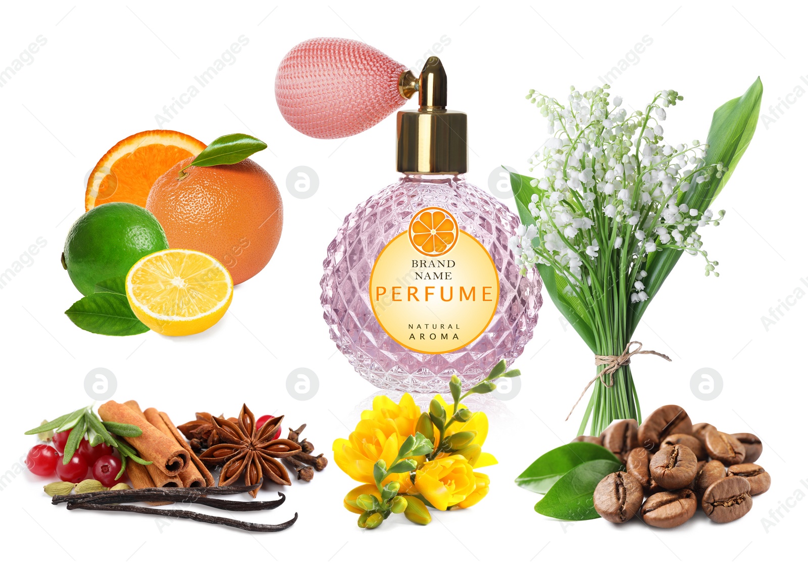 Image of Bottle of perfume, flowers and spices on white background, collage