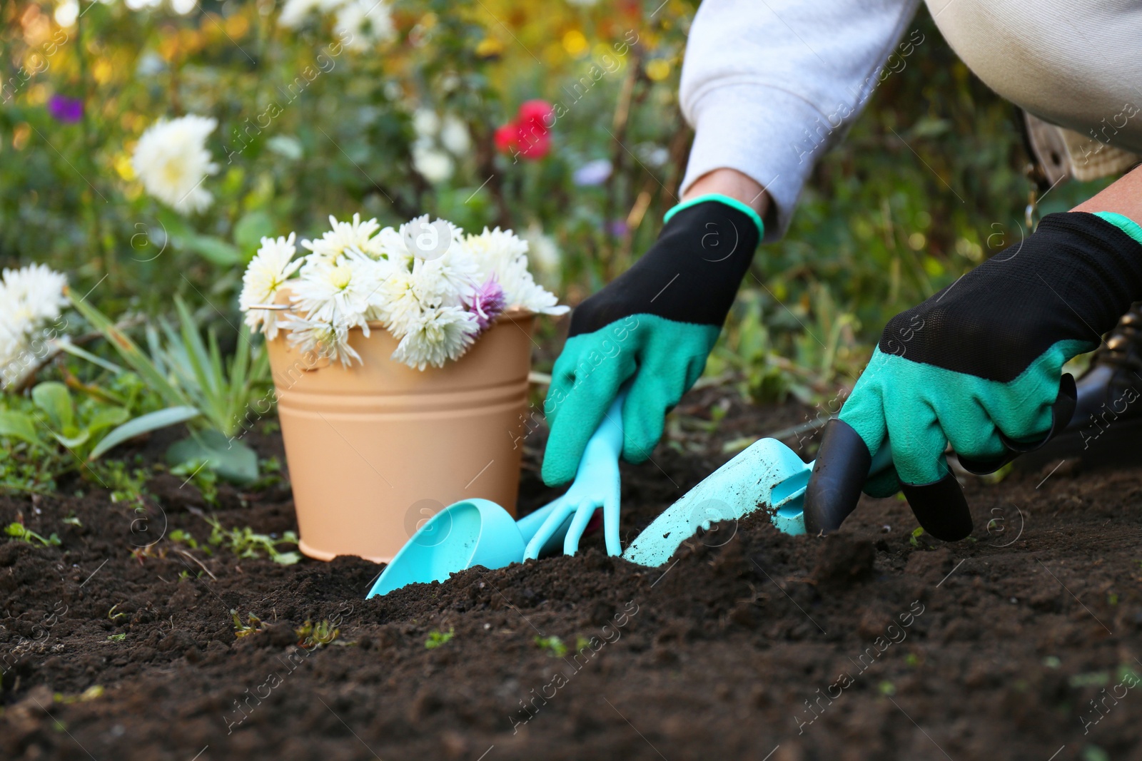 Photo of Woman in gardening gloves preparing soil for flowers transplantation outdoors, closeup