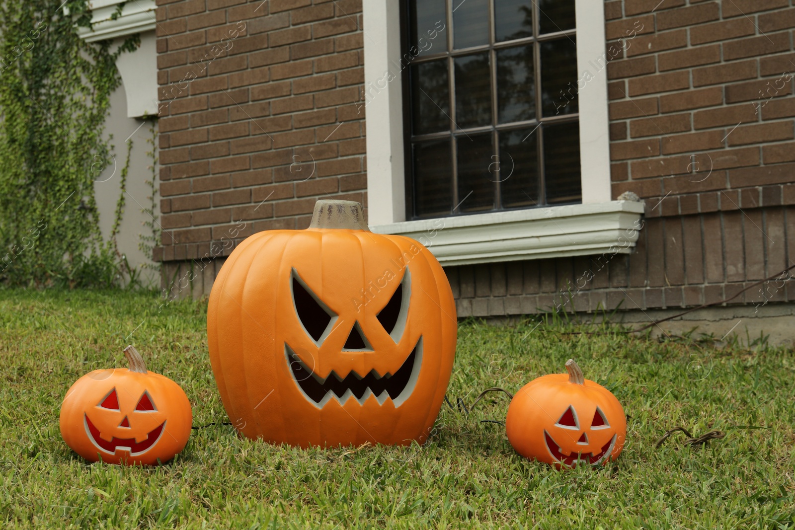 Photo of Ceramic Jack O'Lanterns on front lawn of house. Traditional Halloween decor