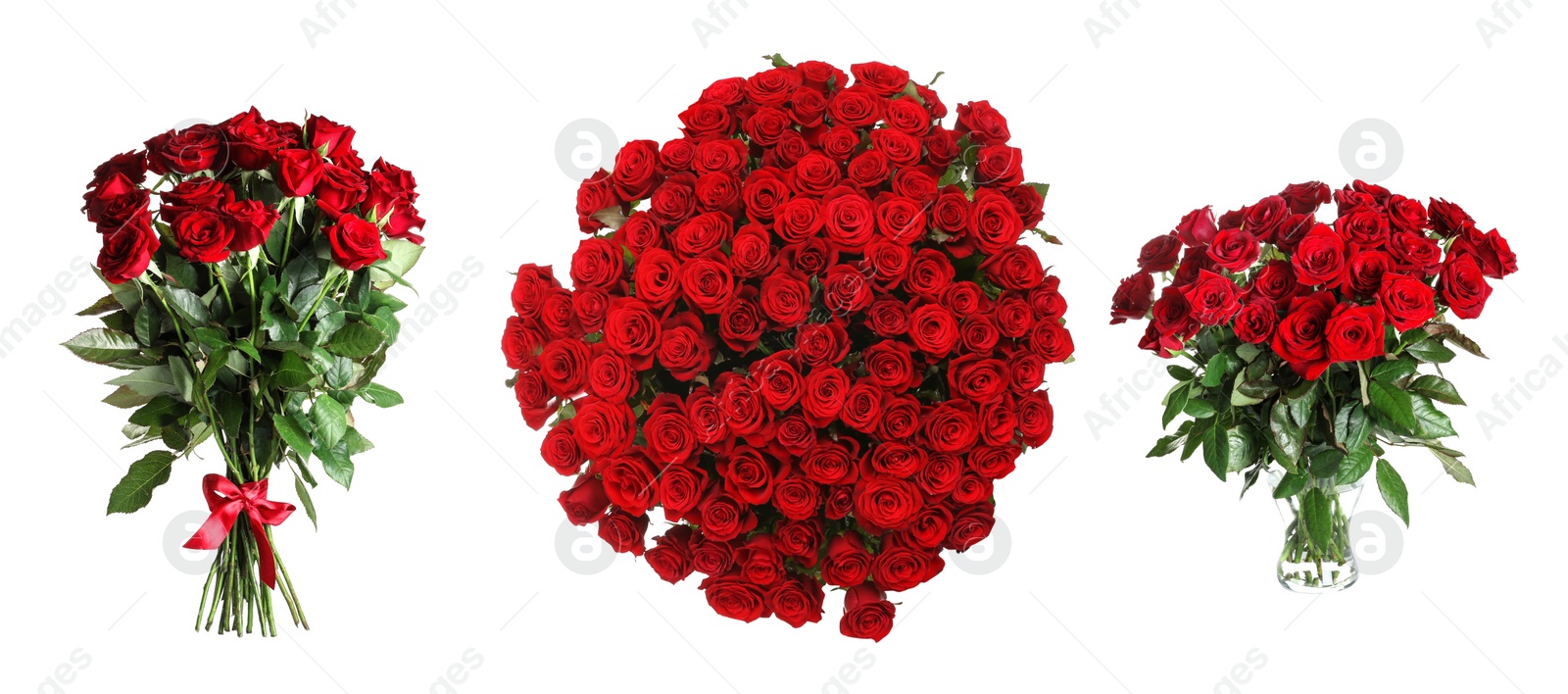 Image of Set with beautiful bouquets of red roses on white background, banner design 