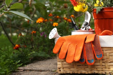 Wicker basket with gardening gloves, potted flowers and tools outdoors, space for text