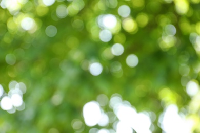 Photo of Blurred view of abstract green background. Bokeh effect