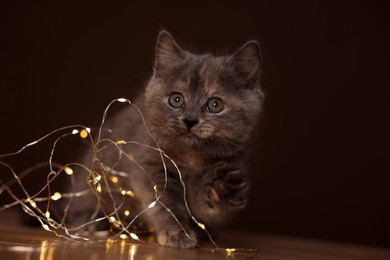 Photo of Cute fluffy kitten playing with string lights on wooden table against brown background. Space for text