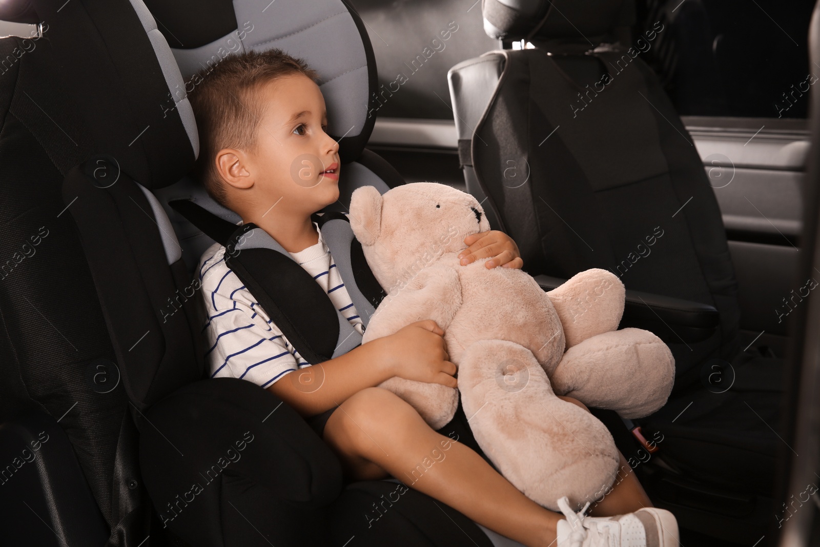 Photo of Little boy fastened with car safety belt in child seat holding toy bear