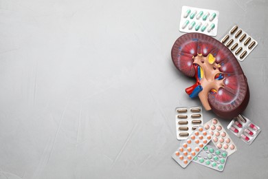 Photo of Kidney model and pills on grey table, flat lay. Space for text