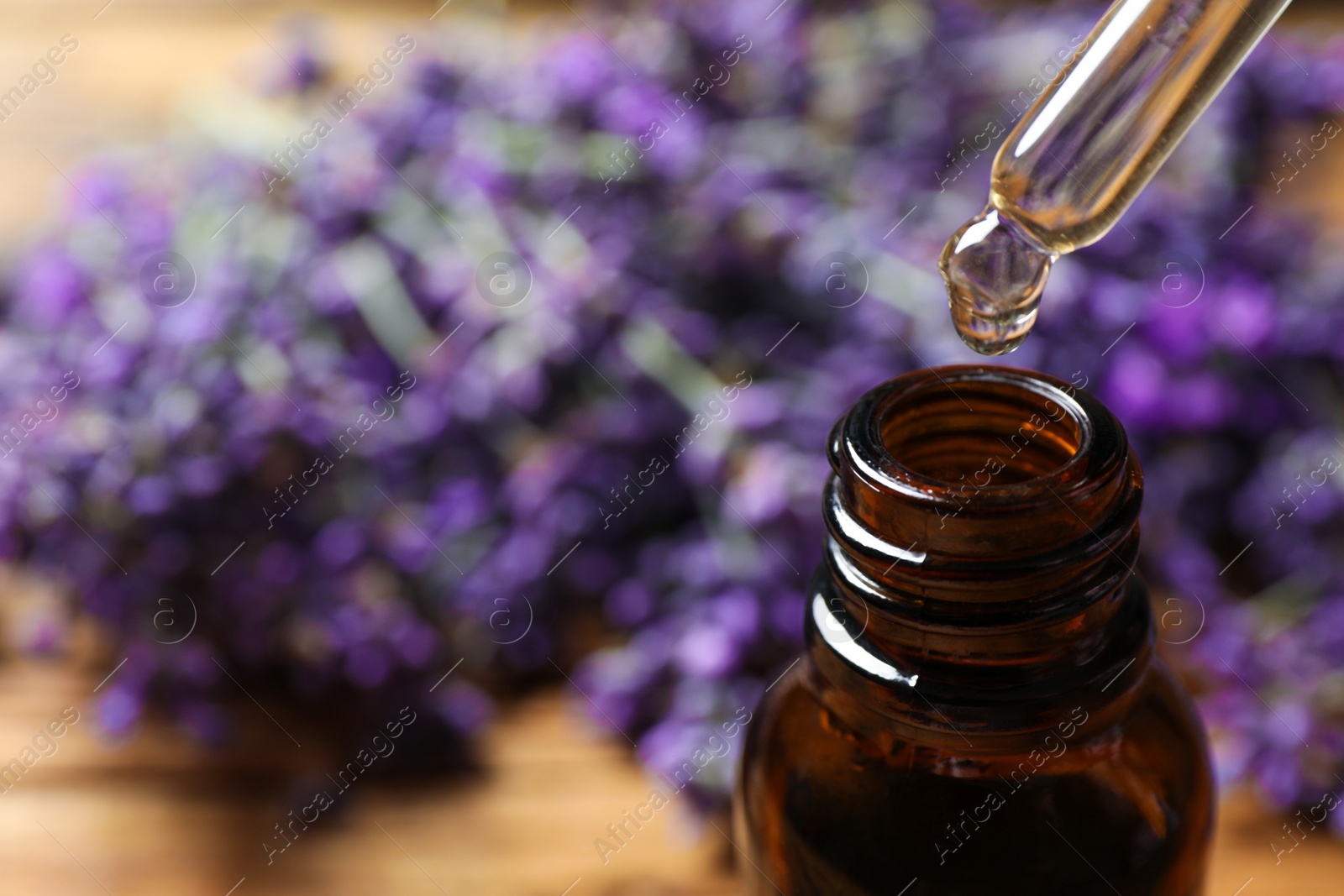 Photo of Dripping lavender essential oil into bottle, closeup. Space for text