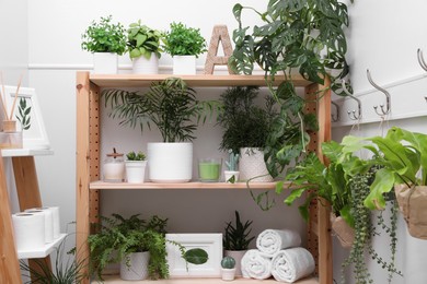 Photo of Wooden shelving unit with green plants and different accessories indoors. Interior design