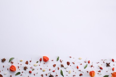 Autumn flat lay composition with physalis and berries on white background. Space for text
