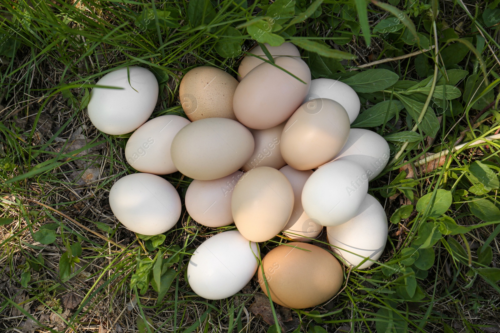 Photo of Pile of fresh raw eggs on green grass outdoors, top view