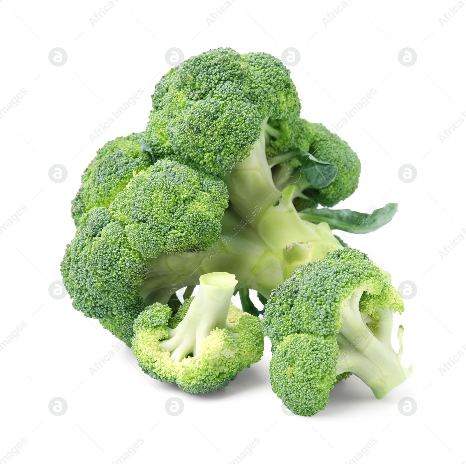 Photo of Fresh raw green broccoli isolated on white