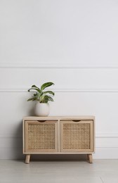 Photo of Green plant on wooden chest of drawers near white wall indoors. Interior design