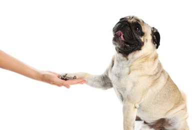 Photo of Woman holding dog's paw on white background, closeup