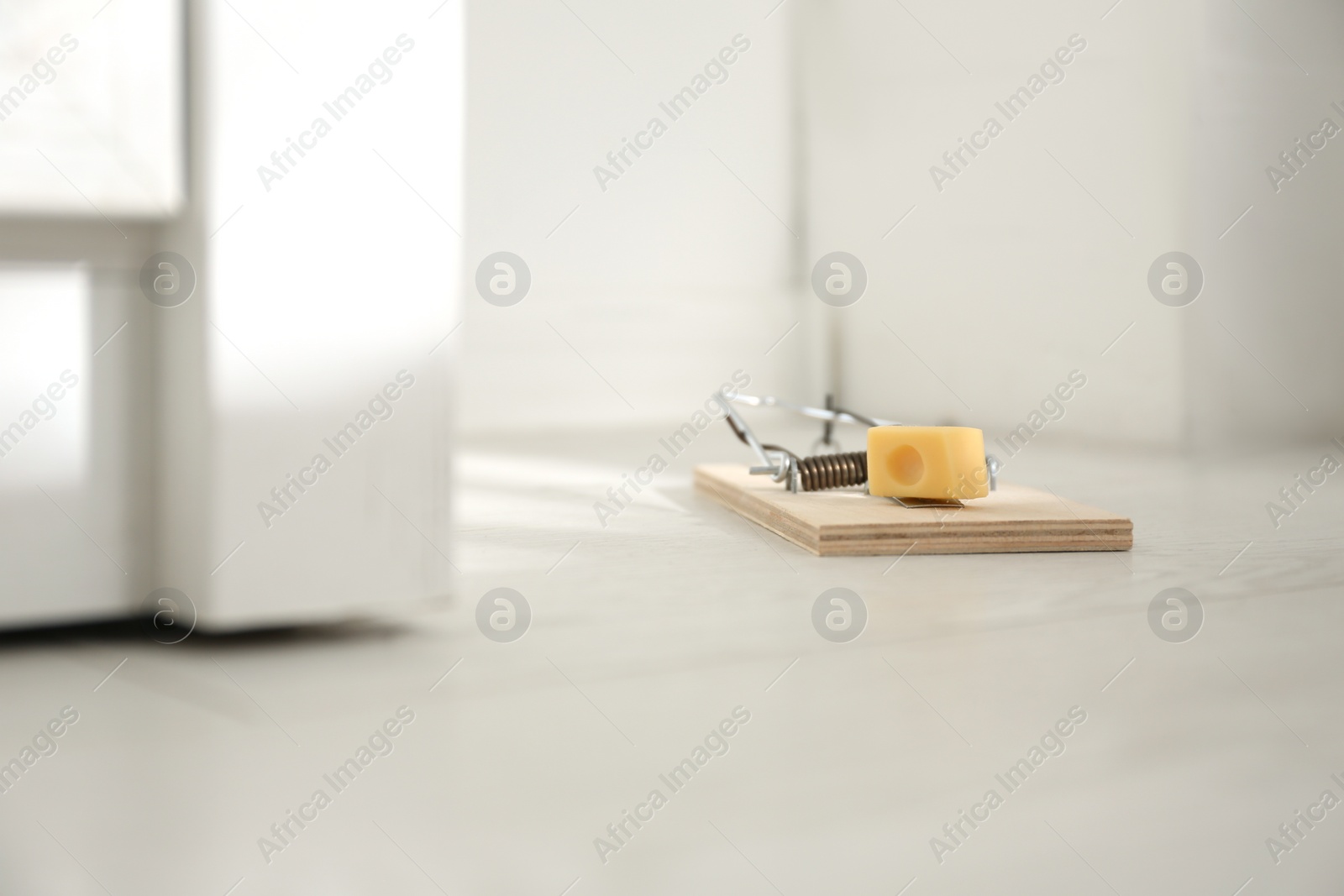 Photo of Mousetrap with piece of cheese on floor indoors. Pest control