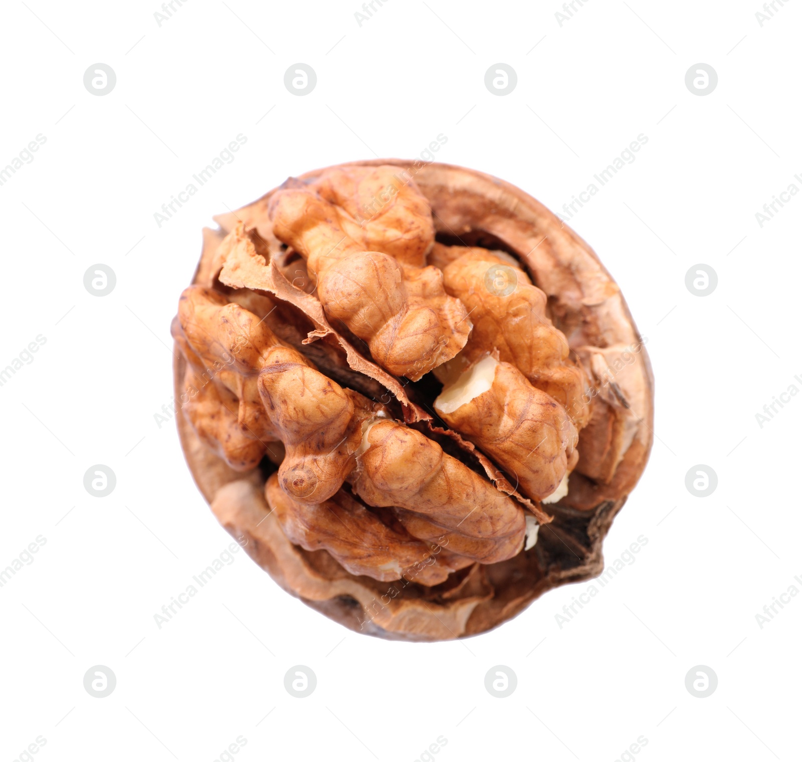 Photo of Walnut in shell on white background, top view. Organic snack