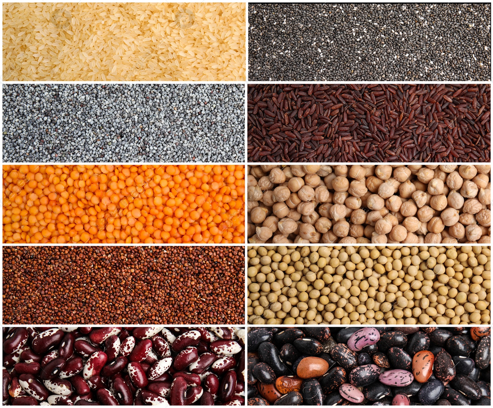 Image of Collage with photos of different legumes and seeds. Vegan diet 