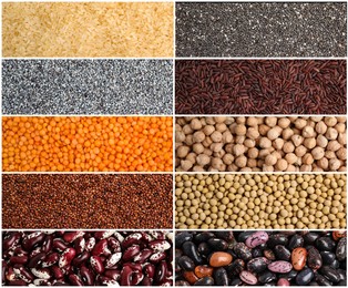 Image of Collage with photos of different legumes and seeds. Vegan diet 