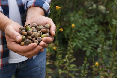 Photo of Man holding pile of dry acorns outdoors, closeup. Space for text