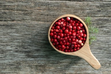 Photo of Cup with tasty ripe lingonberries and spruce twig on wooden surface, flat lay. Space for text