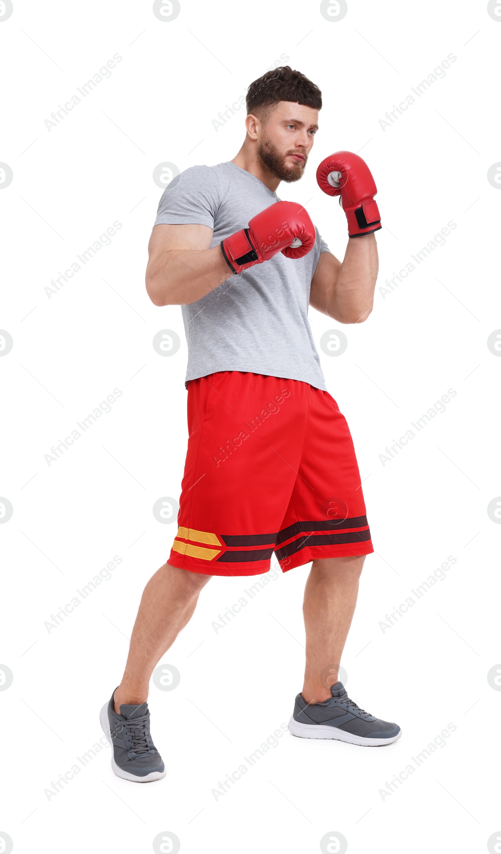 Photo of Man in boxing gloves fighting on white background