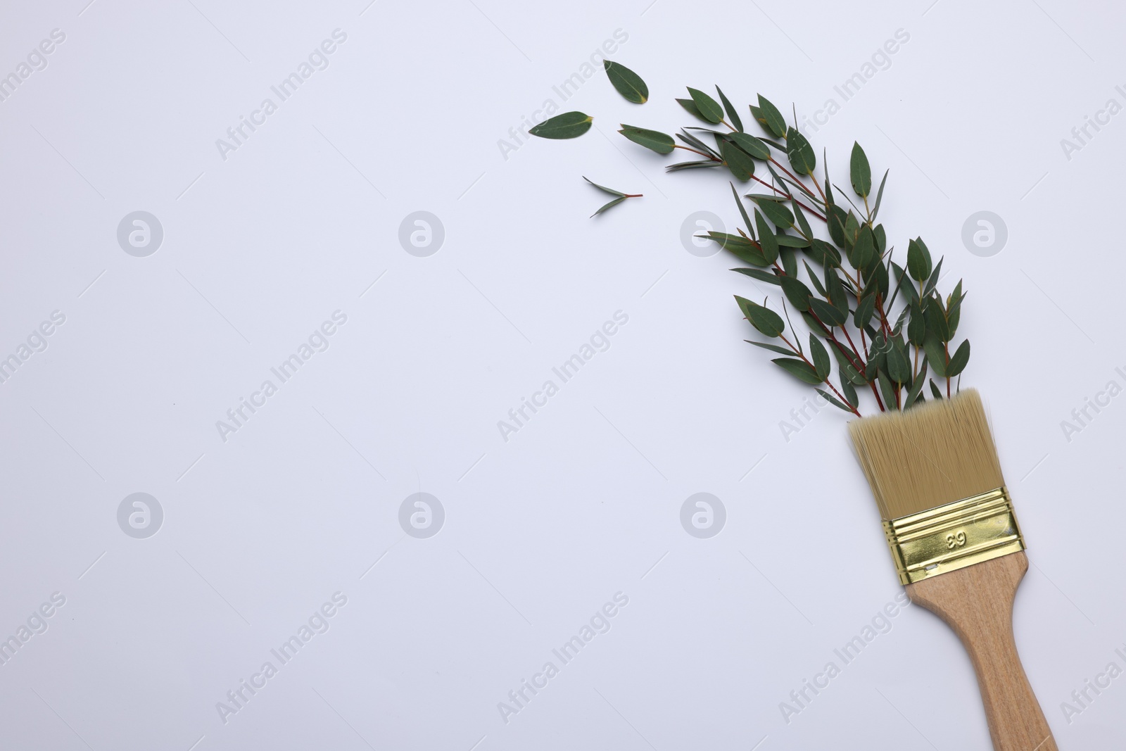 Photo of Brush painting with plant twigs on light background, top view. Space for text. Creative concept