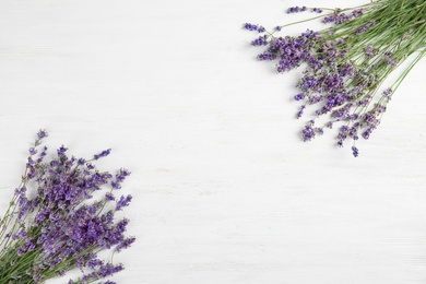 Photo of Beautiful blooming lavender flowers on light background, top view
