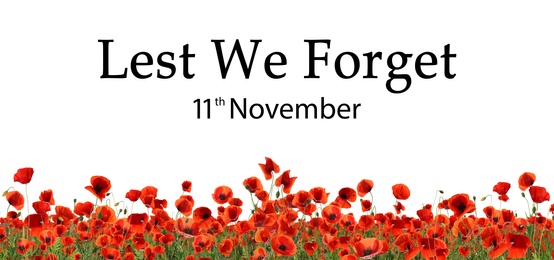 Image of Remembrance day banner. Red poppy flowers and text Lest We Forget 11th November on white background