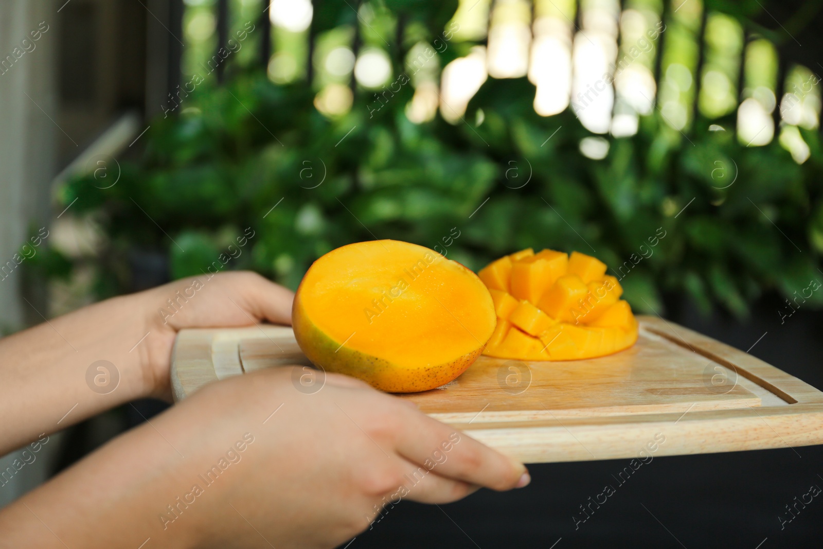 Photo of Woman holding wooden board with cut ripe mango outdoors, closeup